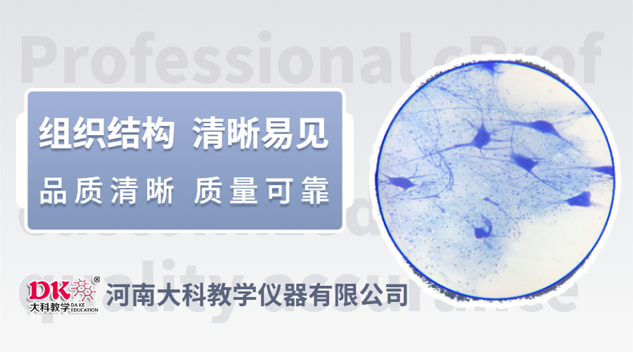 插圖 (2)